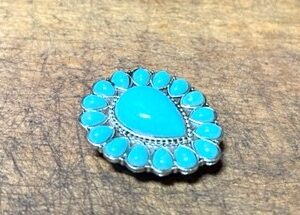 A turquoise colored stone is surrounded by silver.